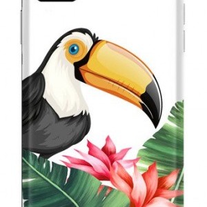Casegadget madár mintás tok iPhone 11 Pro Max