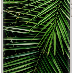iPhone 7 Plus/ 8 Plus Babaco Plants tok zöld